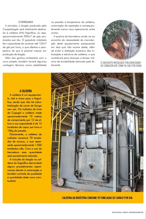 Revista Digital