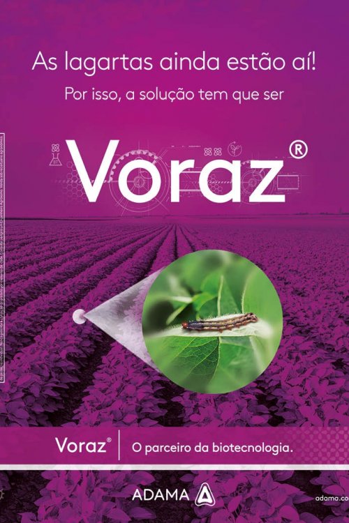Revista Digital