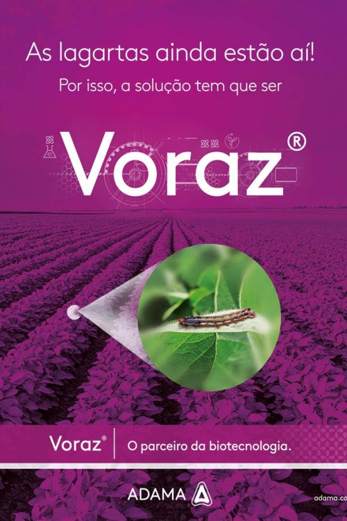 Revista Digital