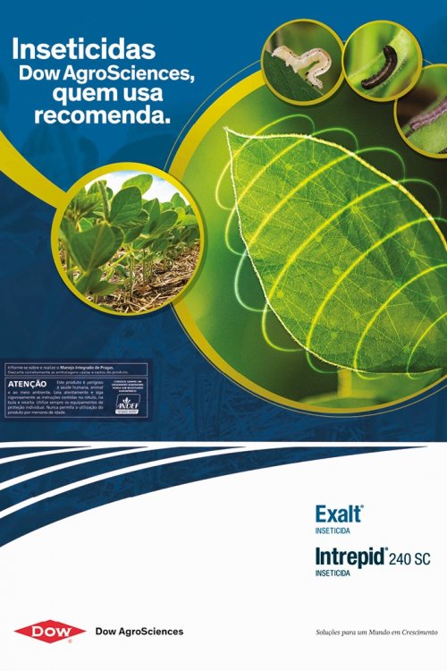 Revista Digital