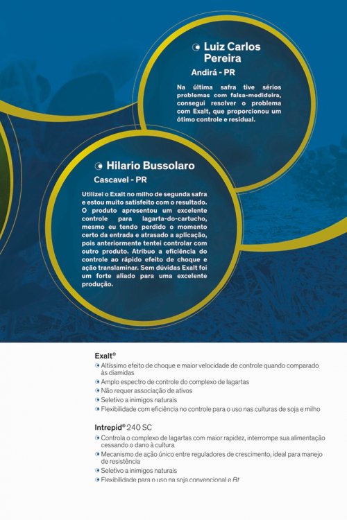 Revista Digital