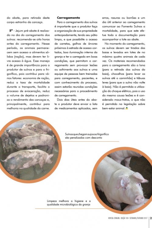 Revista Digital