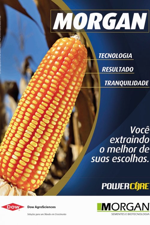 Revista Digital