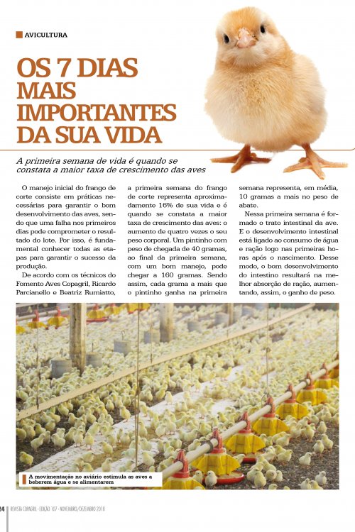 Revista Digital