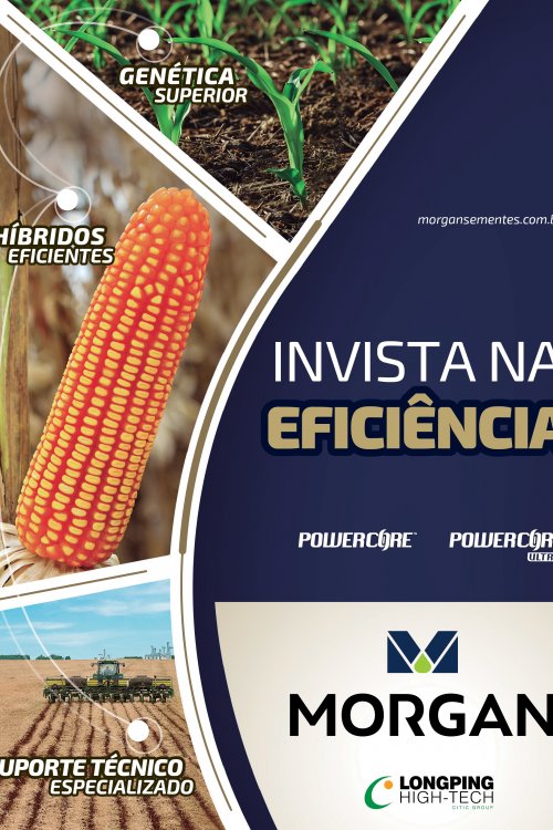 Revista Digital