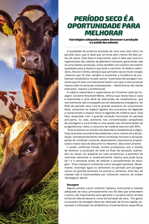 Revista Digital