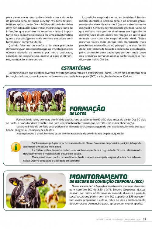 Revista Digital