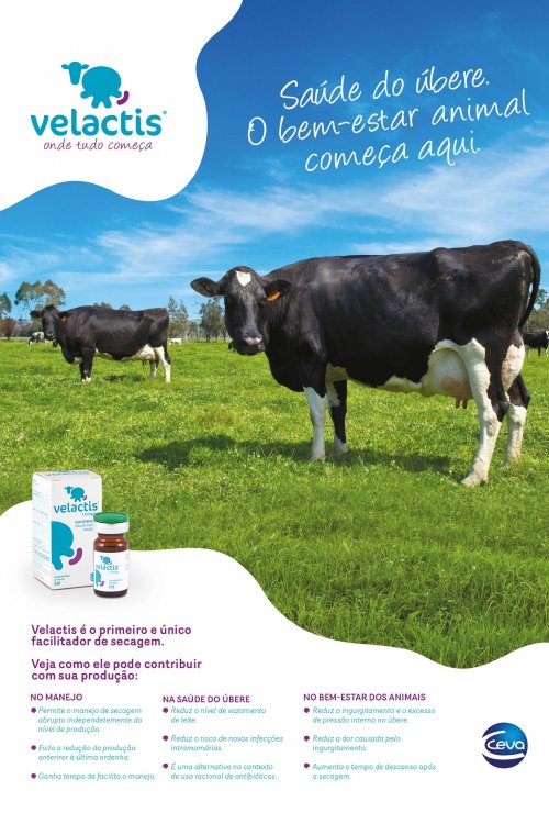 Revista Digital