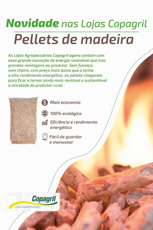 Revista Digital