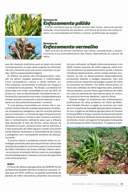 Revista Digital