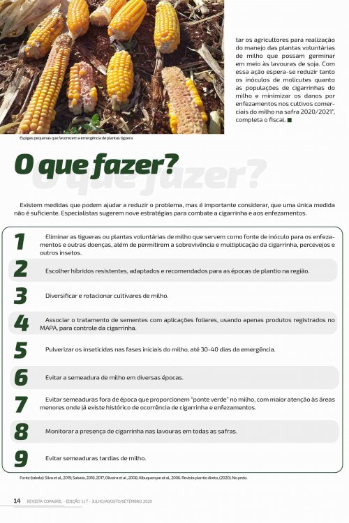 Revista Digital