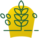 Grãos